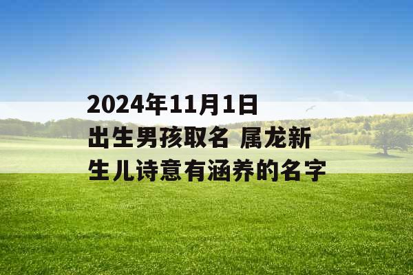 2024年11月1日出生男孩取名 属龙新生儿诗意有涵养的名字 2024年11月1日出生男孩取名 属龙新生儿诗意有涵养的名字