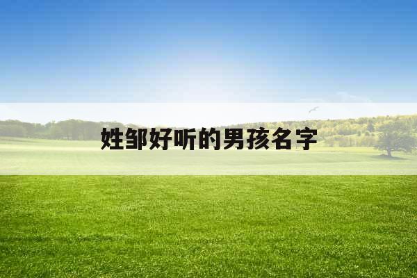 姓邹好听的男孩名字 姓邹好听的男孩名字