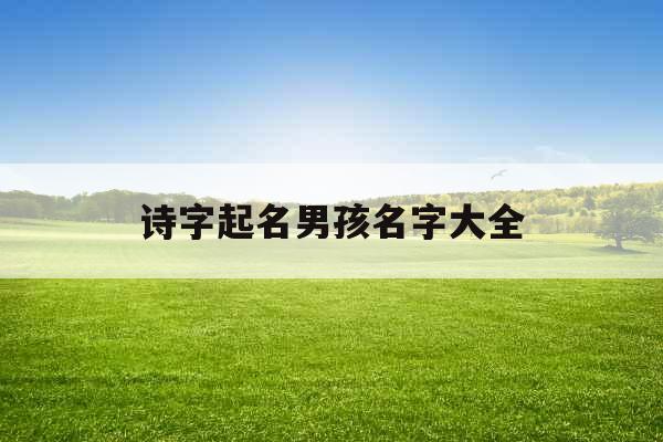 诗字起名男孩名字大全 诗字起名男孩名字大全