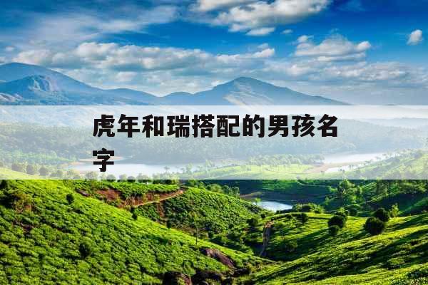 虎年和瑞搭配的男孩名字