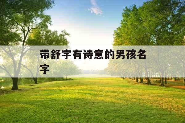 带舒字有诗意的男孩名字 带舒字有诗意的男孩名字