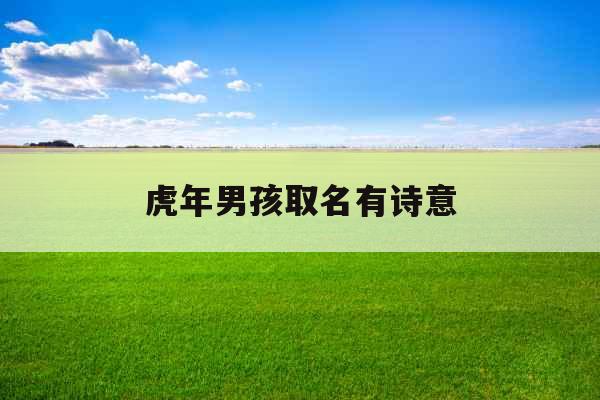 虎年男孩取名有诗意 虎年男孩取名有诗意