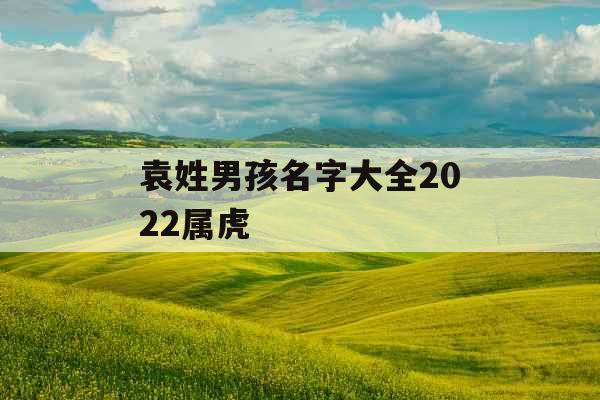 袁姓男孩名字大全2022属虎