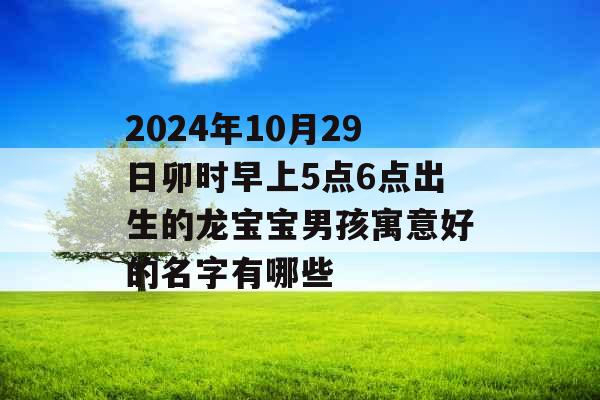 2024年10月29日卯时早上5点6点出生的龙宝宝男孩寓意好的名字有哪些 2024年10月29日卯时早上5点6点出生的龙宝宝男孩寓意好的名字有哪些