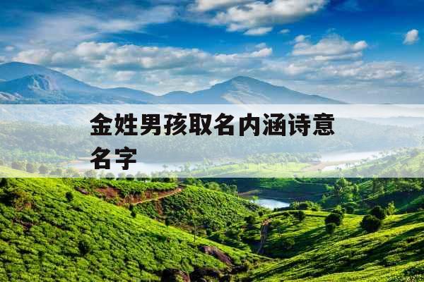 金姓男孩取名内涵诗意名字 金姓男孩取名内涵诗意名字