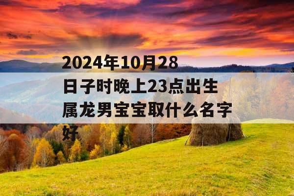 2024年10月28日子时晚上23点出生属龙男宝宝取什么名字好 2024年10月28日子时晚上23点出生属龙男宝宝取什么名字好
