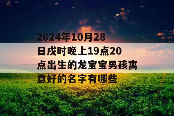 2024年10月28日戌时晚上19点20点出生的龙宝宝男孩寓意好的名字有哪些
