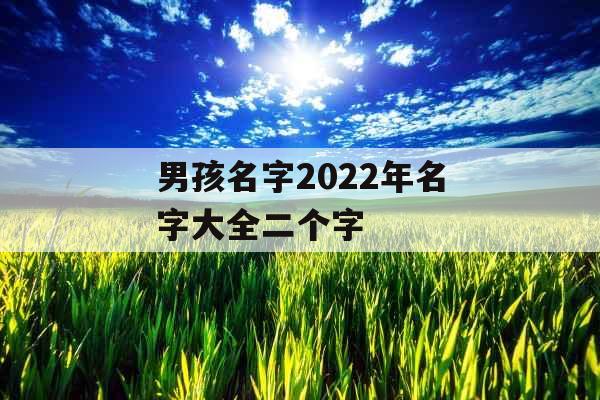 男孩名字2022年名字大全二个字 男孩名字2022年名字大全二个字