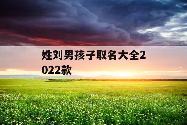 姓刘男孩子取名大全2022款