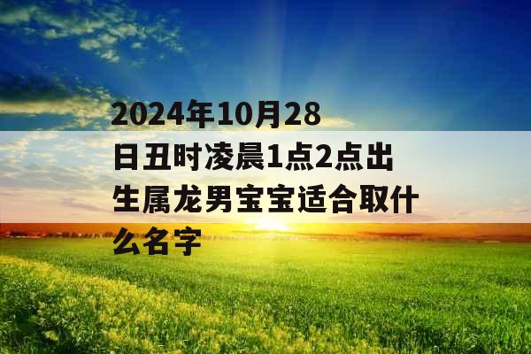 2024年10月28日丑时凌晨1点2点出生属龙男宝宝适合取什么名字 2024年10月28日丑时凌晨1点2点出生属龙男宝宝适合取什么名字