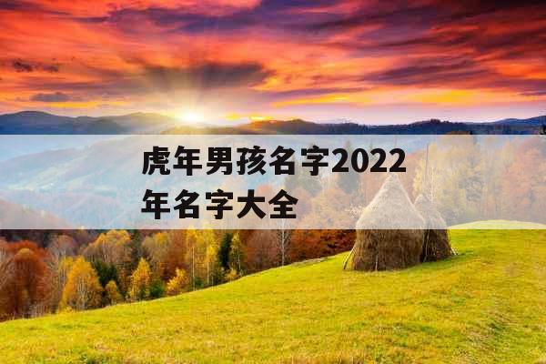 虎年男孩名字2022年名字大全