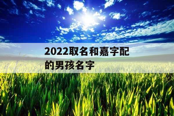 2022取名和嘉字配的男孩名字 2022取名和嘉字配的男孩名字