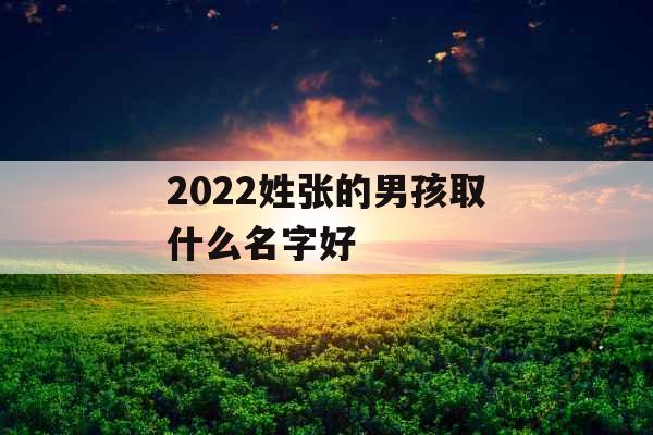 2022姓张的男孩取什么名字好 2022姓张的男孩取什么名字好