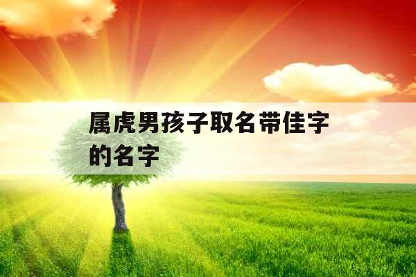 属虎男孩子取名带佳字的名字 属虎男孩子取名带佳字的名字