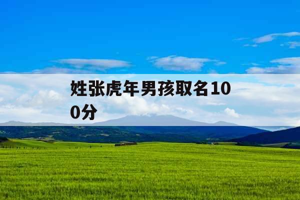 姓张虎年男孩取名100分
