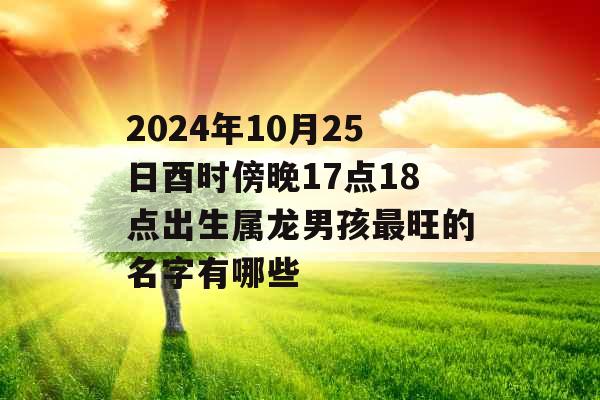 2024年10月25日酉时傍晚17点18点出生属龙男孩最旺的名字有哪些