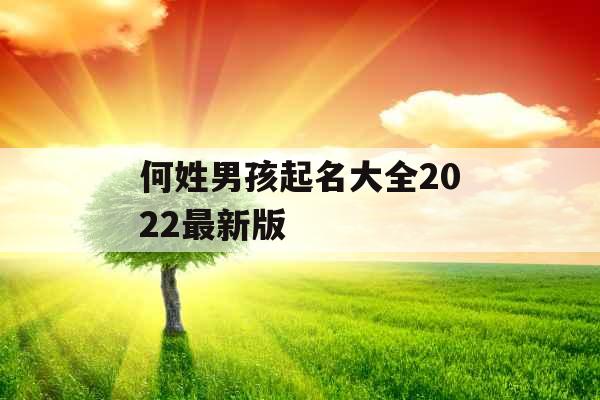 何姓男孩起名大全2022最新版