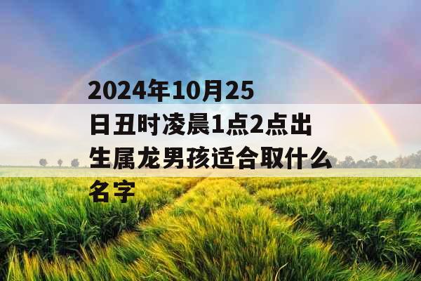 2024年10月25日丑时凌晨1点2点出生属龙男孩适合取什么名字