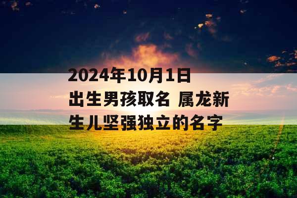 2024年10月1日出生男孩取名 属龙新生儿坚强独立的名字