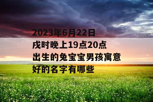2023年6月22日戌时晚上19点20点出生的兔宝宝男孩寓意好的名字有哪些 2023年6月22日戌时晚上19点20点出生的兔宝宝男孩寓意好的名字有哪些