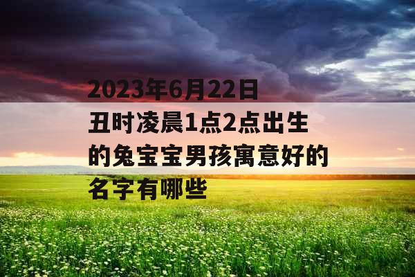 2023年6月22日丑时凌晨1点2点出生的兔宝宝男孩寓意好的名字有哪些