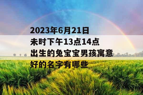 2023年6月21日未时下午13点14点出生的兔宝宝男孩寓意好的名字有哪些 2023年6月21日未时下午13点14点出生的兔宝宝男孩寓意好的名字有哪些