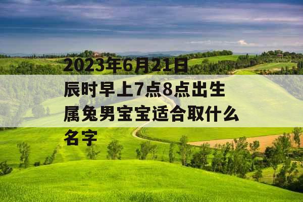 2023年6月21日辰时早上7点8点出生属兔男宝宝适合取什么名字 2023年6月21日辰时早上7点8点出生属兔男宝宝适合取什么名字