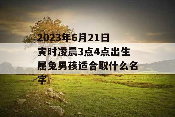 2023年6月21日寅时凌晨3点4点出生属兔男孩适合取什么名字 2023年6月21日寅时凌晨3点4点出生属兔男孩适合取什么名字