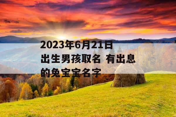 2023年6月21日出生男孩取名 有出息的兔宝宝名字