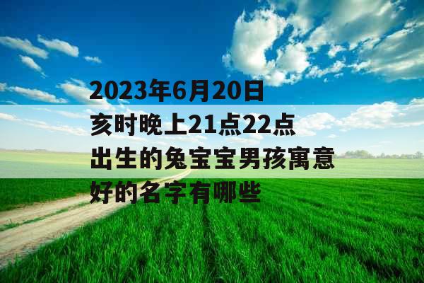 2023年6月20日亥时晚上21点22点出生的兔宝宝男孩寓意好的名字有哪些