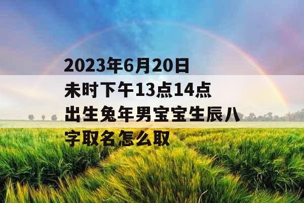 2023年6月20日未时下午13点14点出生兔年男宝宝生辰八字取名怎么取 2023年6月20日未时下午13点14点出生兔年男宝宝生辰八字取名怎么取
