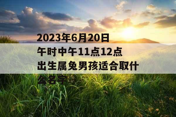 2023年6月20日午时中午11点12点出生属兔男孩适合取什么名字 2023年6月20日午时中午11点12点出生属兔男孩适合取什么名字
