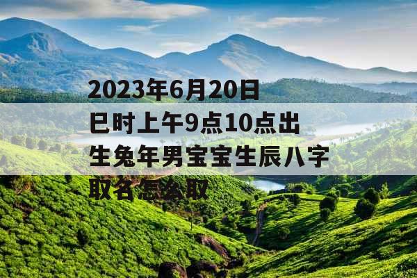 2023年6月20日巳时上午9点10点出生兔年男宝宝生辰八字取名怎么取 2023年6月20日巳时上午9点10点出生兔年男宝宝生辰八字取名怎么取