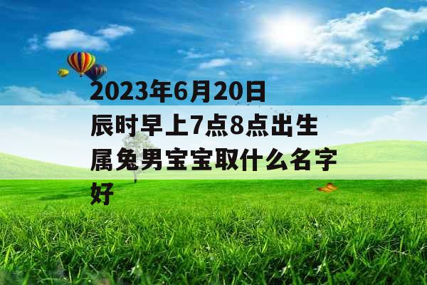 2023年6月20日辰时早上7点8点出生属兔男宝宝取什么名字好 2023年6月20日辰时早上7点8点出生属兔男宝宝取什么名字好
