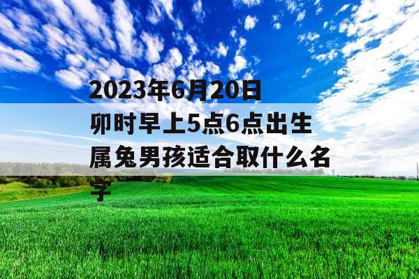 2023年6月20日卯时早上5点6点出生属兔男孩适合取什么名字 2023年6月20日卯时早上5点6点出生属兔男孩适合取什么名字