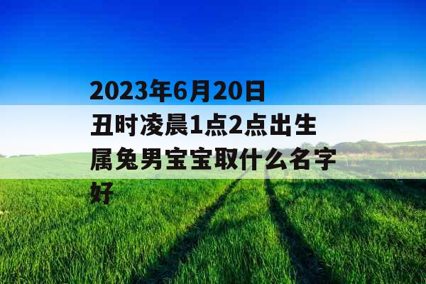2023年6月20日丑时凌晨1点2点出生属兔男宝宝取什么名字好 2023年6月20日丑时凌晨1点2点出生属兔男宝宝取什么名字好