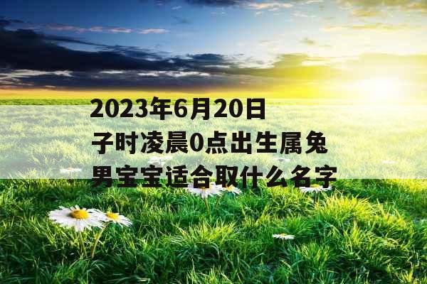 2023年6月20日子时凌晨0点出生属兔男宝宝适合取什么名字 2023年6月20日子时凌晨0点出生属兔男宝宝适合取什么名字