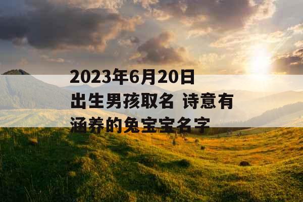 2023年6月20日出生男孩取名 诗意有涵养的兔宝宝名字