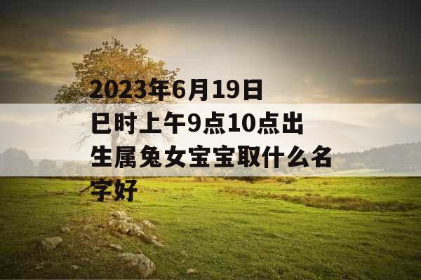 2023年6月19日巳时上午9点10点出生属兔女宝宝取什么名字好