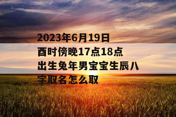 2023年6月19日酉时傍晚17点18点出生兔年男宝宝生辰八字取名怎么取