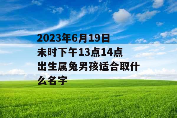 2023年6月19日未时下午13点14点出生属兔男孩适合取什么名字