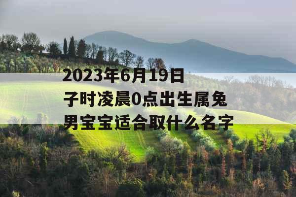 2023年6月19日子时凌晨0点出生属兔男宝宝适合取什么名字