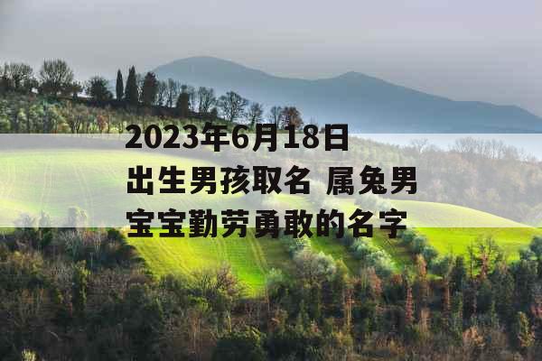 2023年6月18日出生男孩取名 属兔男宝宝勤劳勇敢的名字