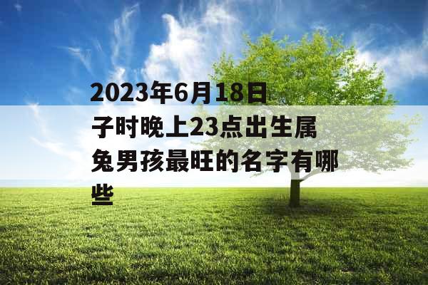 2023年6月18日子时晚上23点出生属兔男孩最旺的名字有哪些 2023年6月18日子时晚上23点出生属兔男孩最旺的名字有哪些