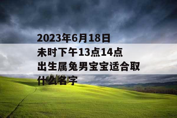 2023年6月18日未时下午13点14点出生属兔男宝宝适合取什么名字 2023年6月18日未时下午13点14点出生属兔男宝宝适合取什么名字