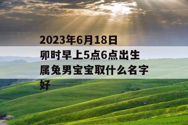 2023年6月18日卯时早上5点6点出生属兔男宝宝取什么名字好