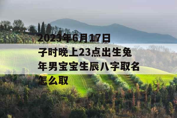 2023年6月17日子时晚上23点出生兔年男宝宝生辰八字取名怎么取 2023年6月17日子时晚上23点出生兔年男宝宝生辰八字取名怎么取