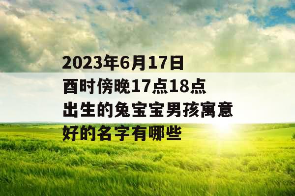 2023年6月17日酉时傍晚17点18点出生的兔宝宝男孩寓意好的名字有哪些