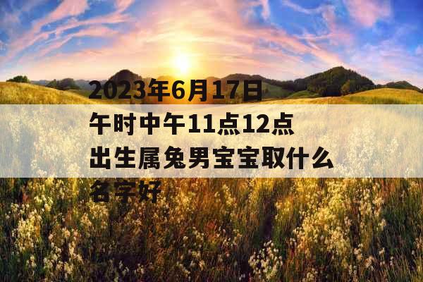 2023年6月17日午时中午11点12点出生属兔男宝宝取什么名字好