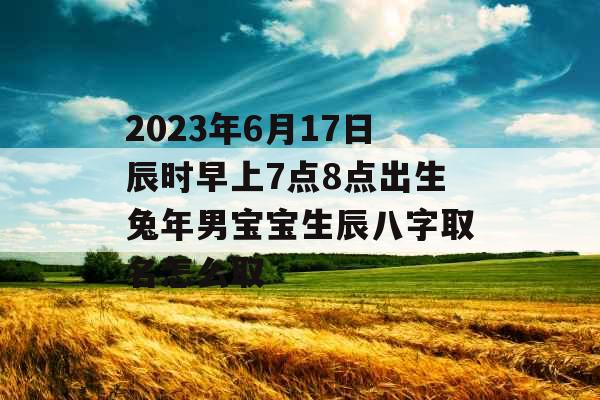 2023年6月17日辰时早上7点8点出生兔年男宝宝生辰八字取名怎么取